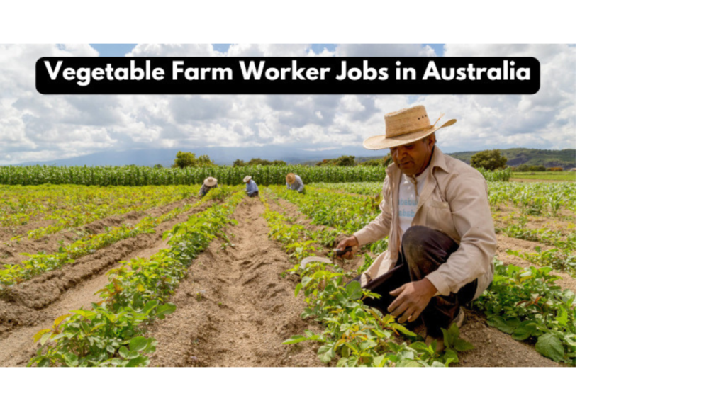 Assembly Line General Labour Vacancies in Canada