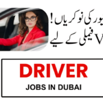 Driver Jobs in UAE: Salary, Requirements, and Opportunities