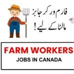 Farm Worker Jobs in Canada: Salary and Requirements