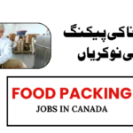 Food Packing Jobs in Canada: Salary, Requirements, and How to Apply